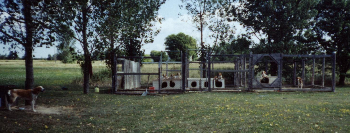 kennel.jpg